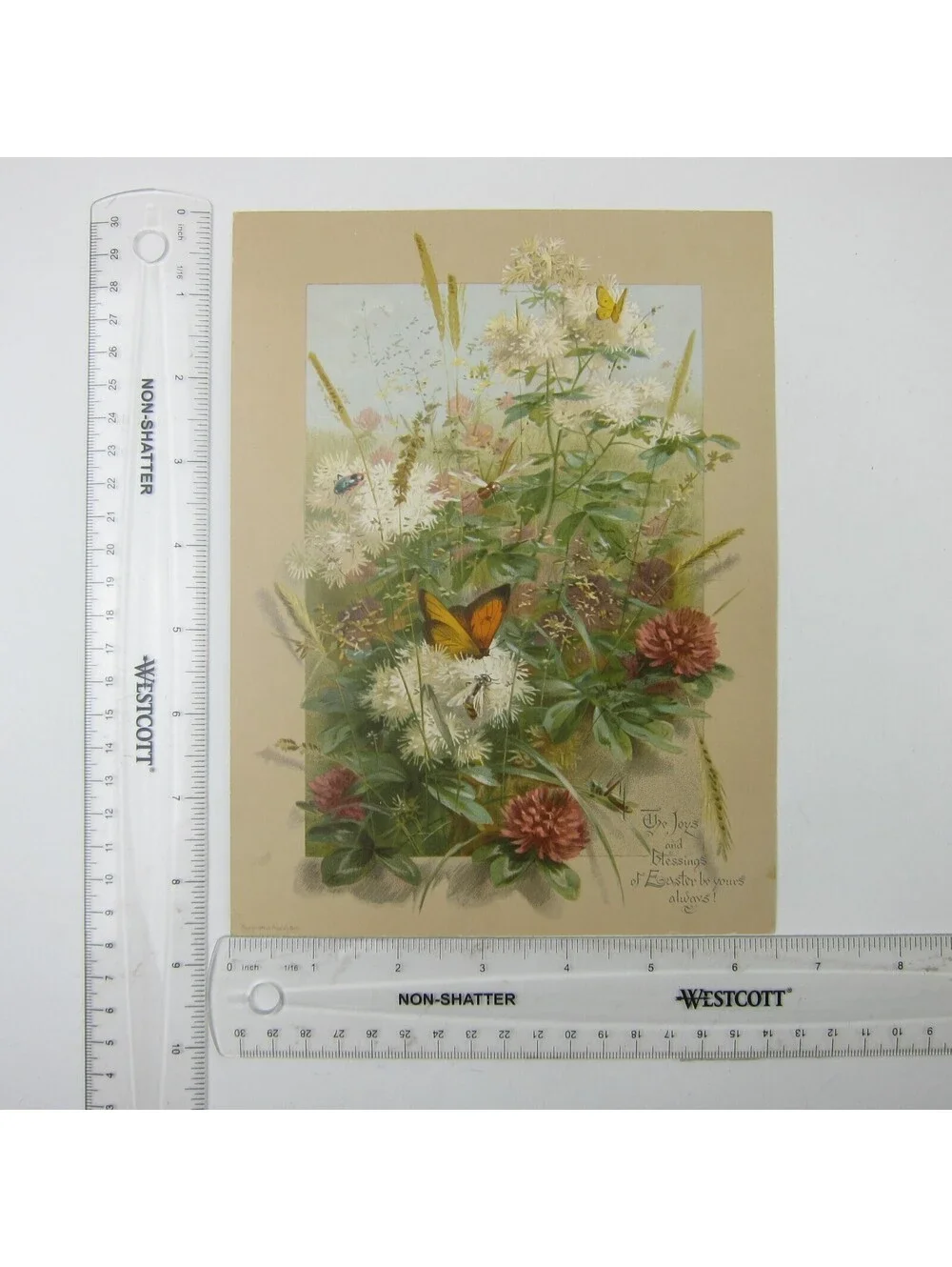 Victorian Easter Greeting Card Flowers Wheat Butterfly Grasshopper Antique 1884